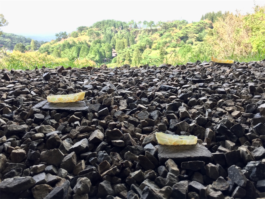 f:id:SANNY7:20191009111006j:image f:id:SANNY7:20191009111006j:image