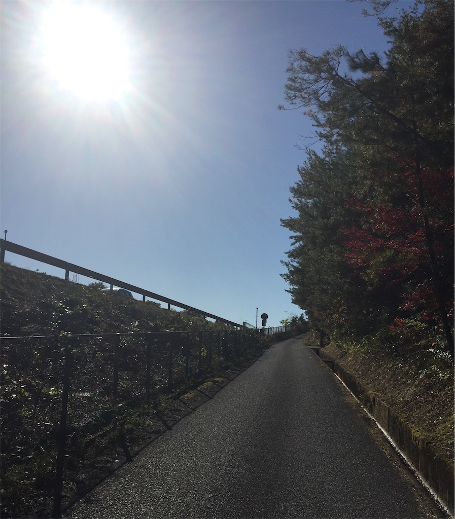 f:id:SANNY7:20191124153438j:image f:id:SANNY7:20191124153438j:image