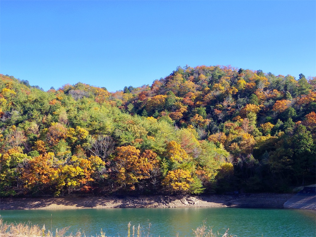 f:id:SANNY7:20191124153442j:image f:id:SANNY7:20191124153442j:image