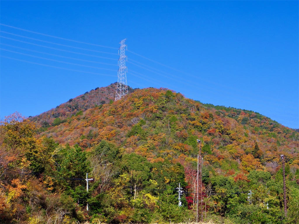 f:id:SANNY7:20191124153506j:image f:id:SANNY7:20191124153506j:image