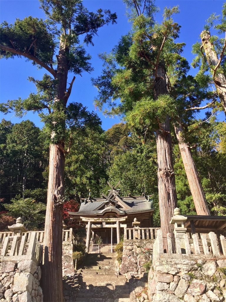 f:id:SANNY7:20191124153604j:image f:id:SANNY7:20191124153604j:image