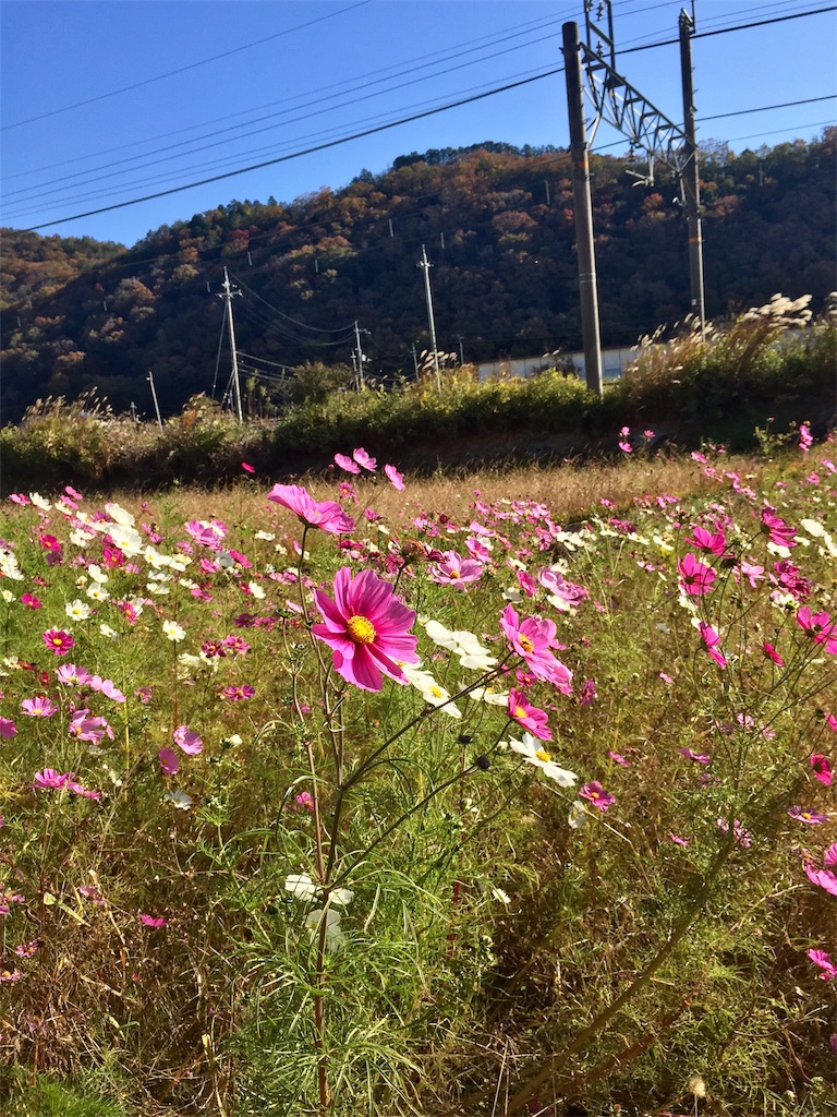 f:id:SANNY7:20191124161011j:image f:id:SANNY7:20191124161011j:image