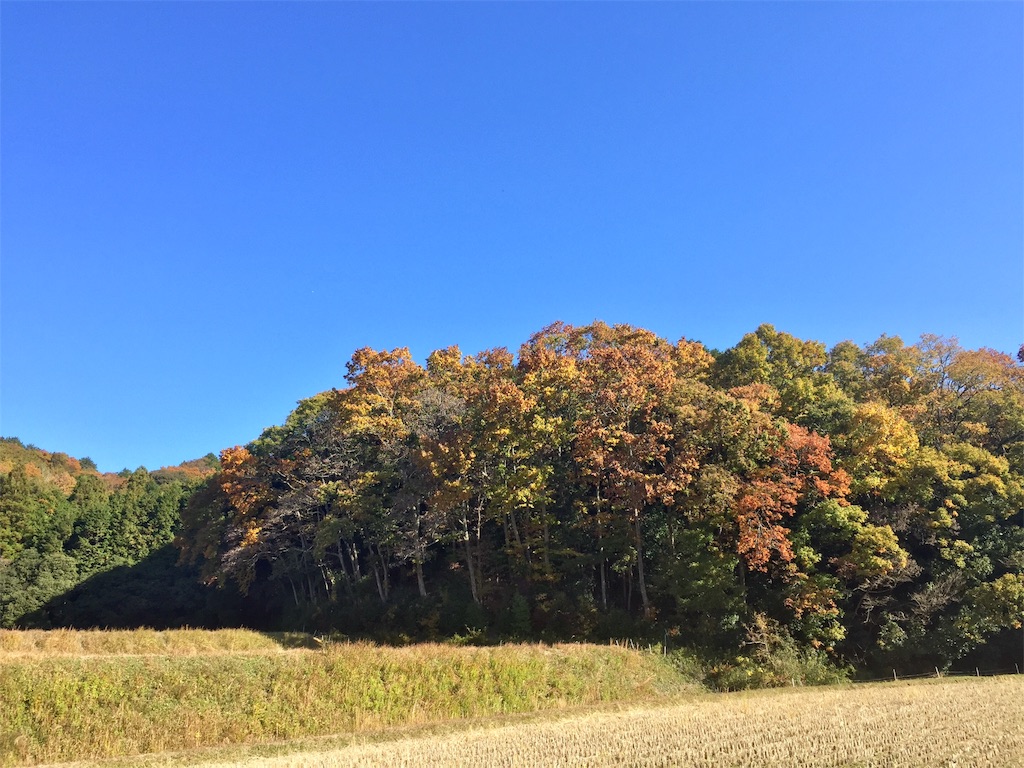 f:id:SANNY7:20191124161652j:image f:id:SANNY7:20191124161652j:image