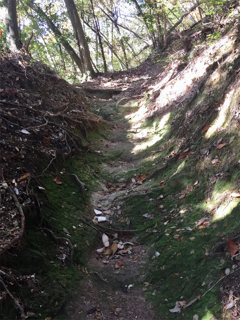 f:id:SANNY7:20191124163037j:image f:id:SANNY7:20191124163037j:image