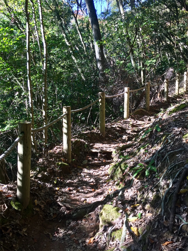 f:id:SANNY7:20191124163043j:image f:id:SANNY7:20191124163043j:image