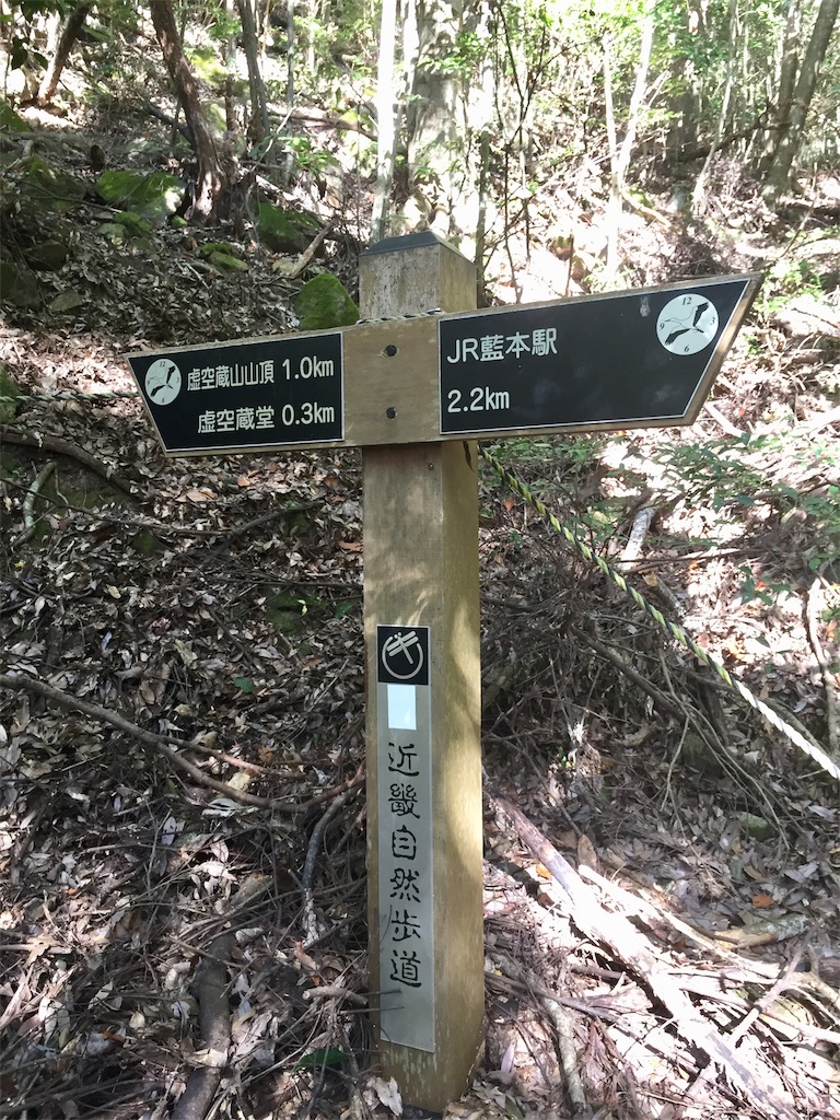 f:id:SANNY7:20191124163051j:image f:id:SANNY7:20191124163051j:image