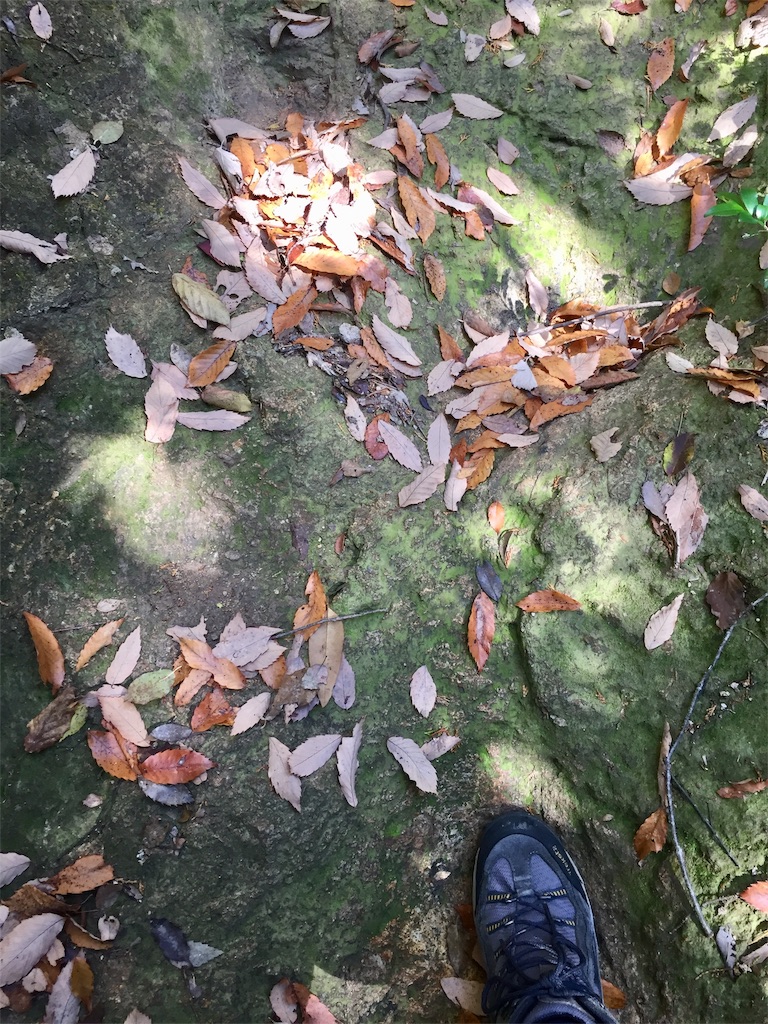 f:id:SANNY7:20191124163113j:image f:id:SANNY7:20191124163113j:image