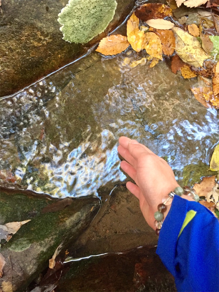 f:id:SANNY7:20191124163125j:image f:id:SANNY7:20191124163125j:image