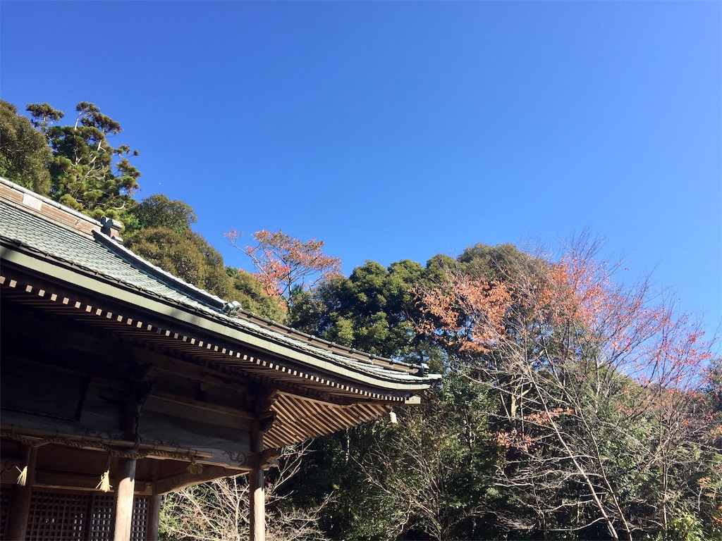 f:id:SANNY7:20191124163136j:image f:id:SANNY7:20191124163136j:image