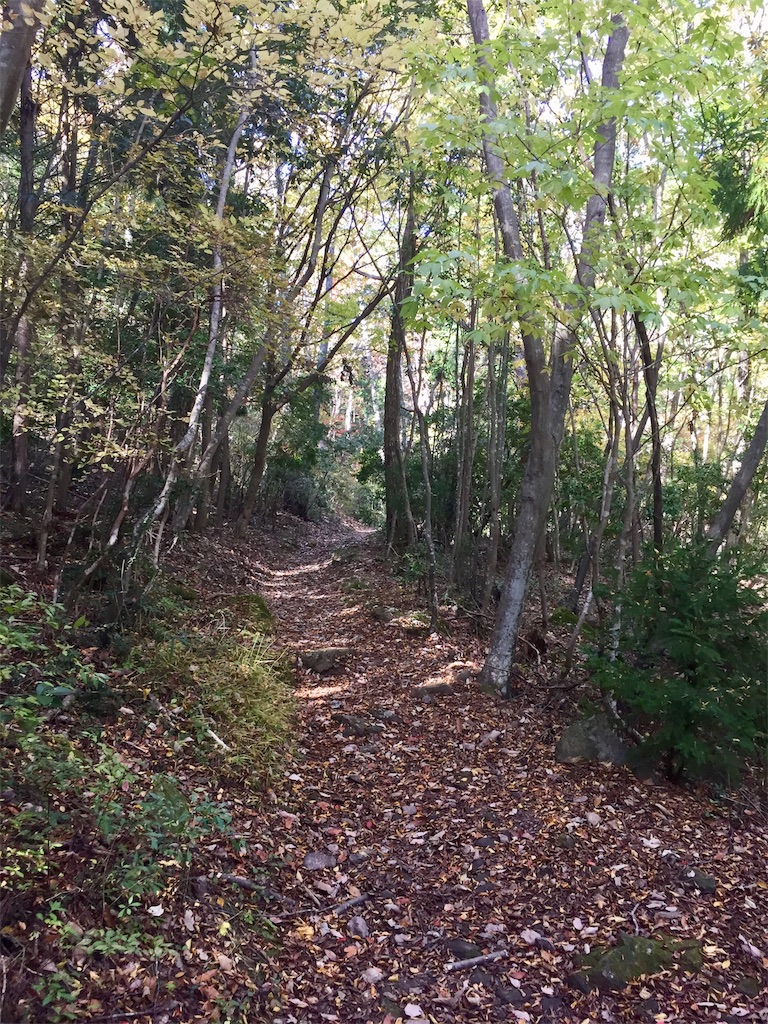 f:id:SANNY7:20191124163142j:image f:id:SANNY7:20191124163142j:image