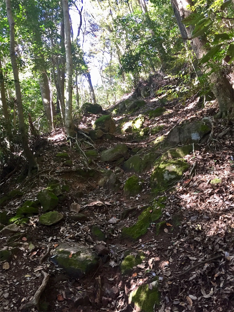 f:id:SANNY7:20191124163150j:image f:id:SANNY7:20191124163150j:image