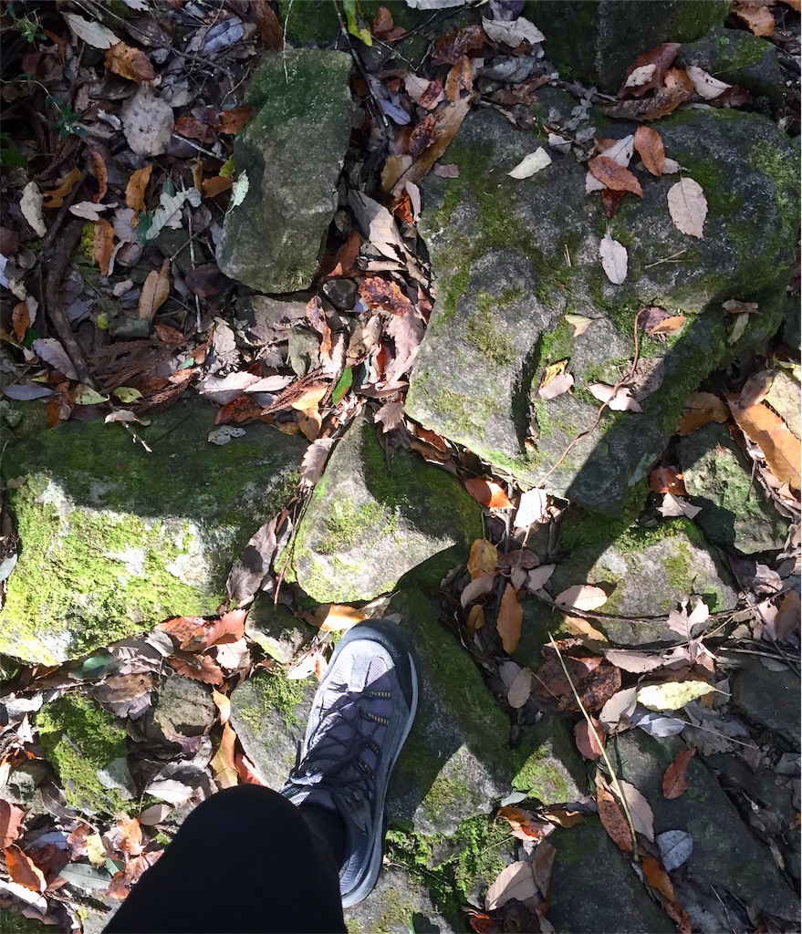 f:id:SANNY7:20191124163153j:image f:id:SANNY7:20191124163153j:image