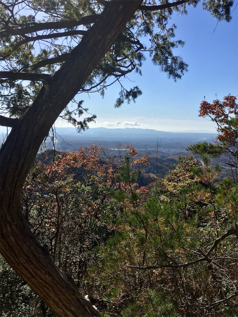 f:id:SANNY7:20191124171704j:image f:id:SANNY7:20191124171704j:image