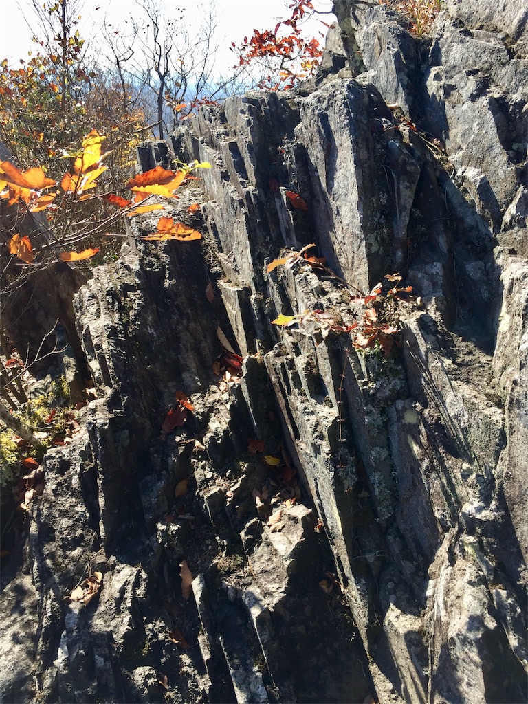 f:id:SANNY7:20191124171708j:image f:id:SANNY7:20191124171708j:image