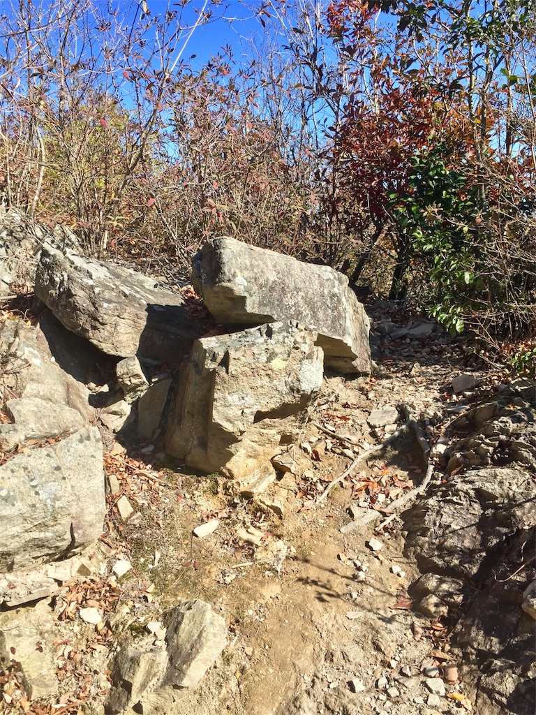 f:id:SANNY7:20191124171714j:image f:id:SANNY7:20191124171714j:image