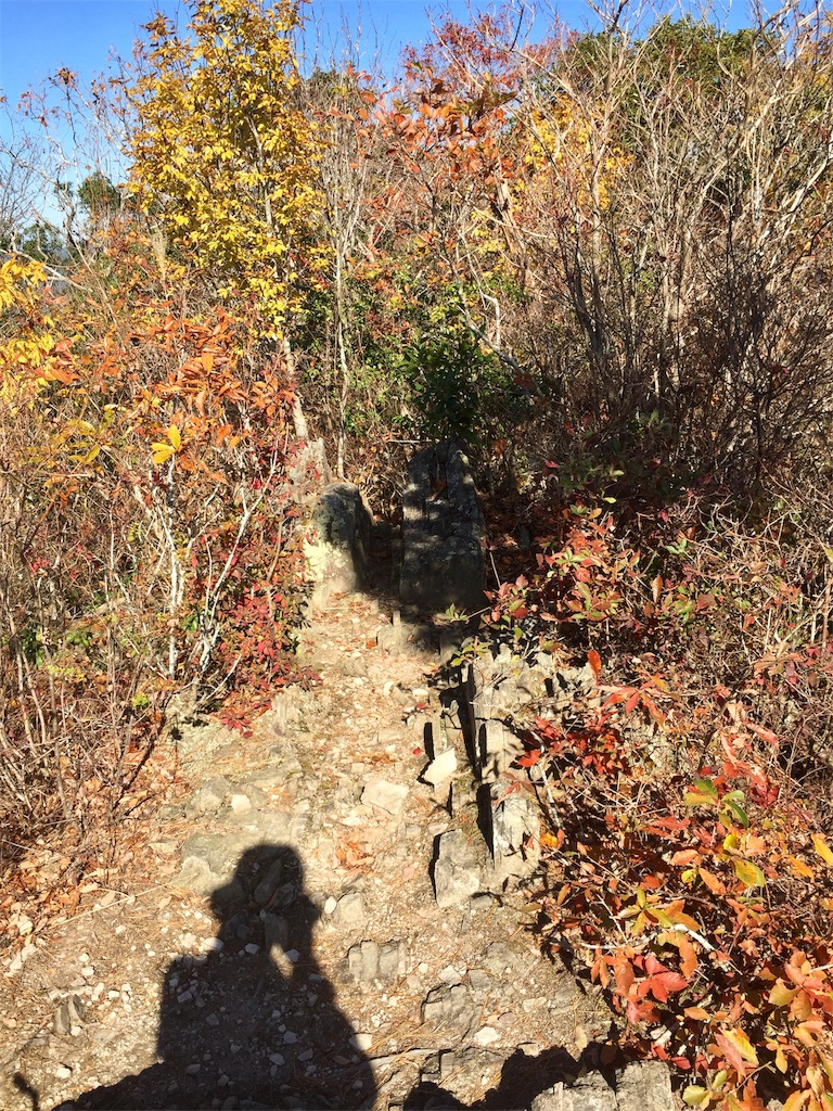 f:id:SANNY7:20191124171721j:image f:id:SANNY7:20191124171721j:image