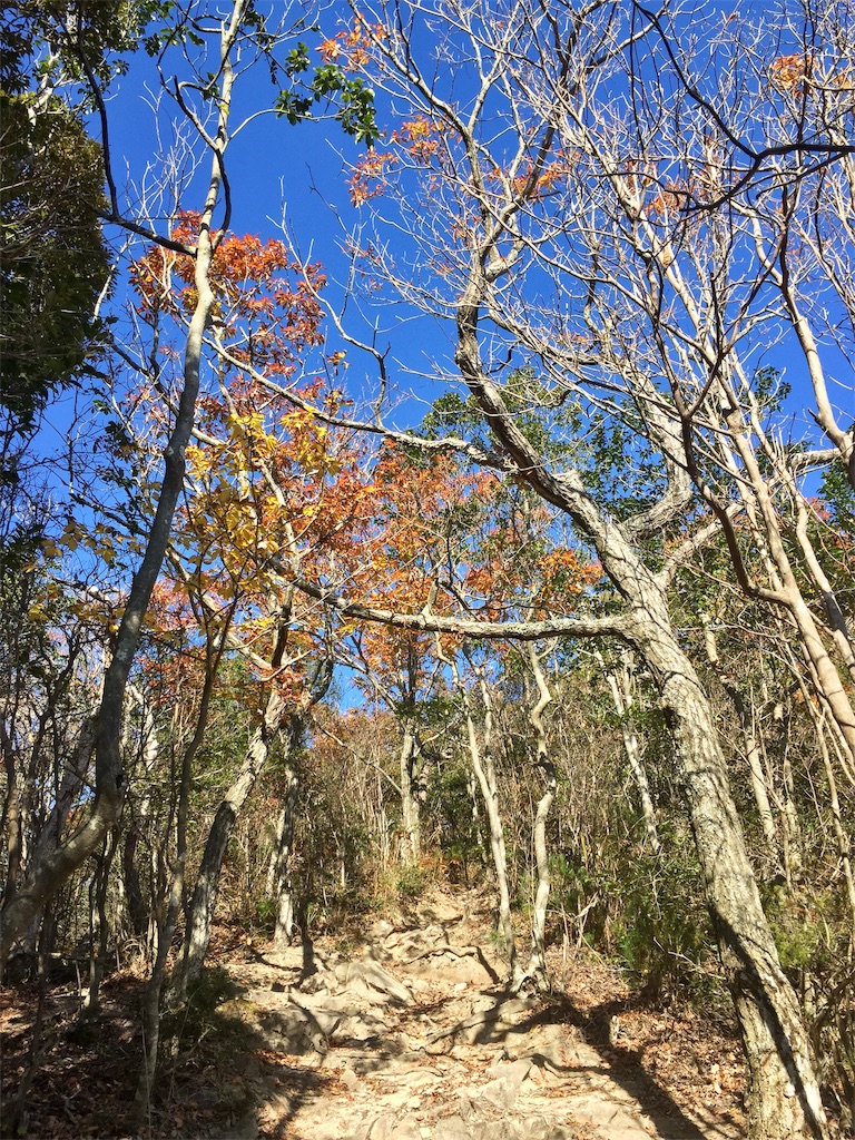 f:id:SANNY7:20191124171735j:image f:id:SANNY7:20191124171735j:image