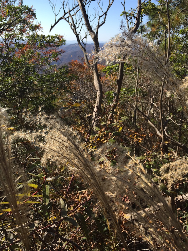 f:id:SANNY7:20191124171757j:image f:id:SANNY7:20191124171757j:image