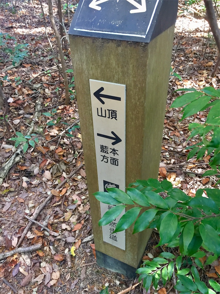 f:id:SANNY7:20191124171808j:image f:id:SANNY7:20191124171808j:image