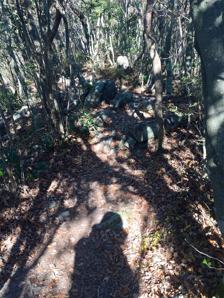 f:id:SANNY7:20191124171817j:image f:id:SANNY7:20191124171817j:image