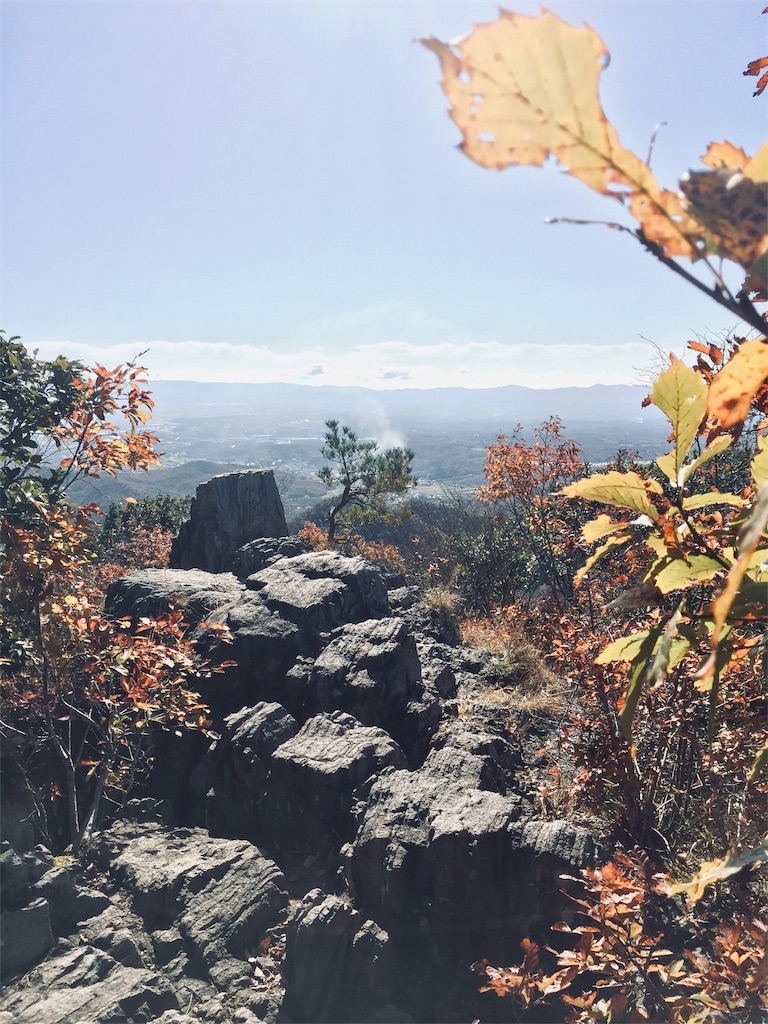 f:id:SANNY7:20191124171823j:image f:id:SANNY7:20191124171823j:image