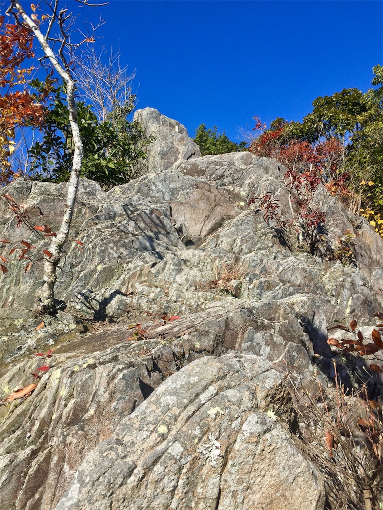 f:id:SANNY7:20191124171840j:image f:id:SANNY7:20191124171840j:image