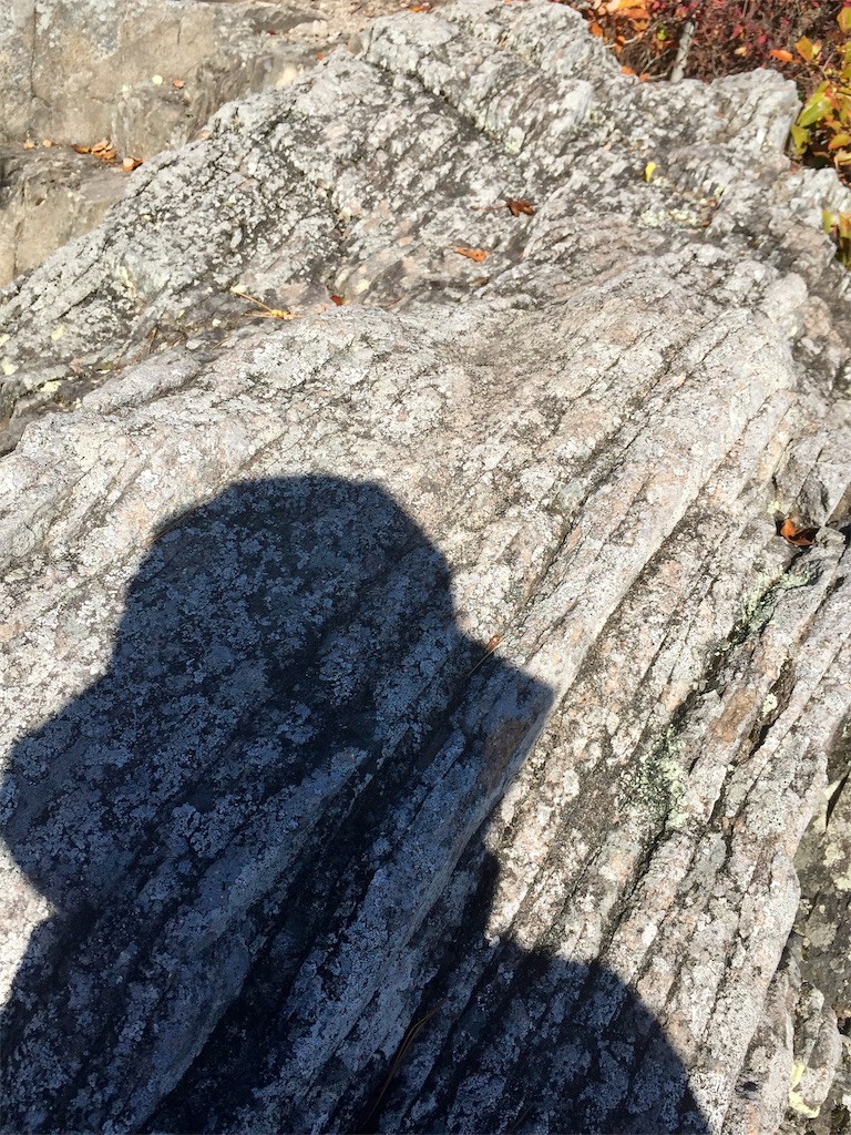 f:id:SANNY7:20191124171852j:image f:id:SANNY7:20191124171852j:image