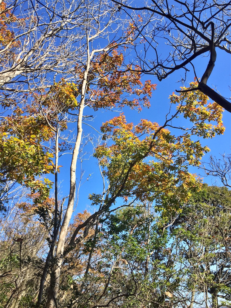 f:id:SANNY7:20191124171904j:image f:id:SANNY7:20191124171904j:image