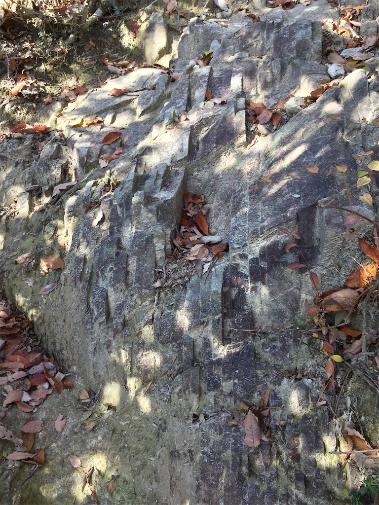 f:id:SANNY7:20191124172926j:image f:id:SANNY7:20191124172926j:image