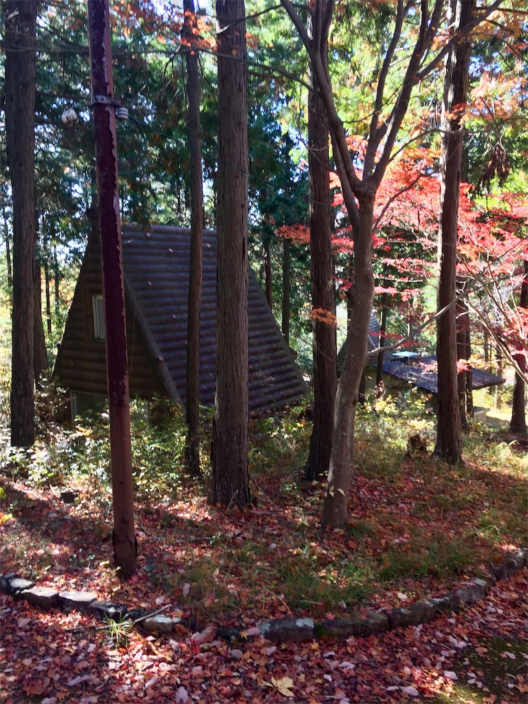 f:id:SANNY7:20191124180300j:image f:id:SANNY7:20191124180300j:image