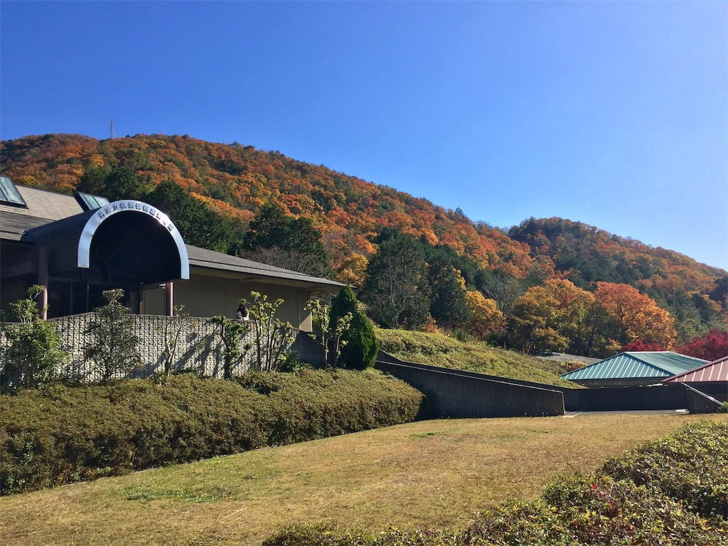 f:id:SANNY7:20191124200256j:image f:id:SANNY7:20191124200256j:image