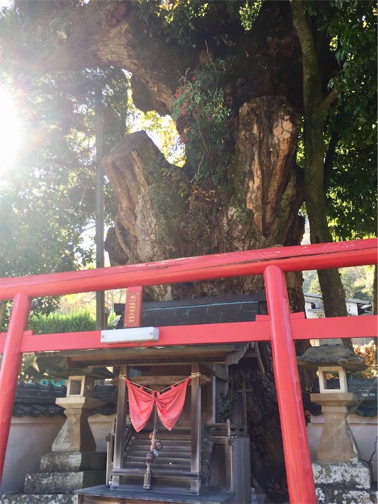 f:id:SANNY7:20191124200532j:image f:id:SANNY7:20191124200532j:image