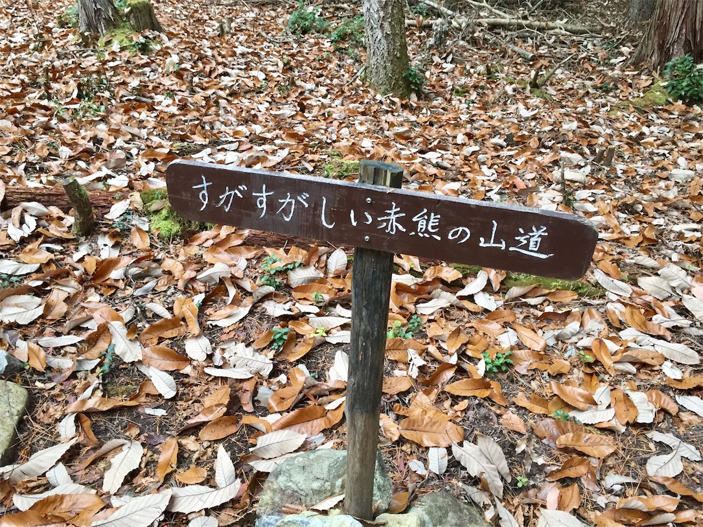 f:id:SANNY7:20191216095449j:image