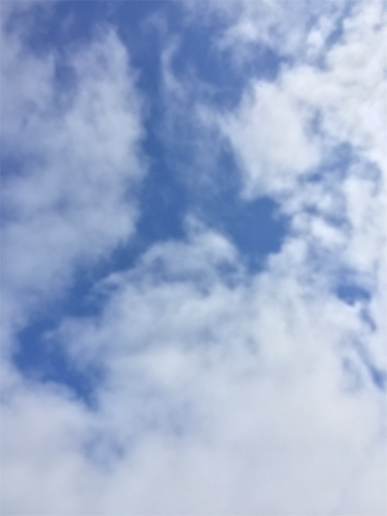 f:id:SANNY7:20191216100405j:image