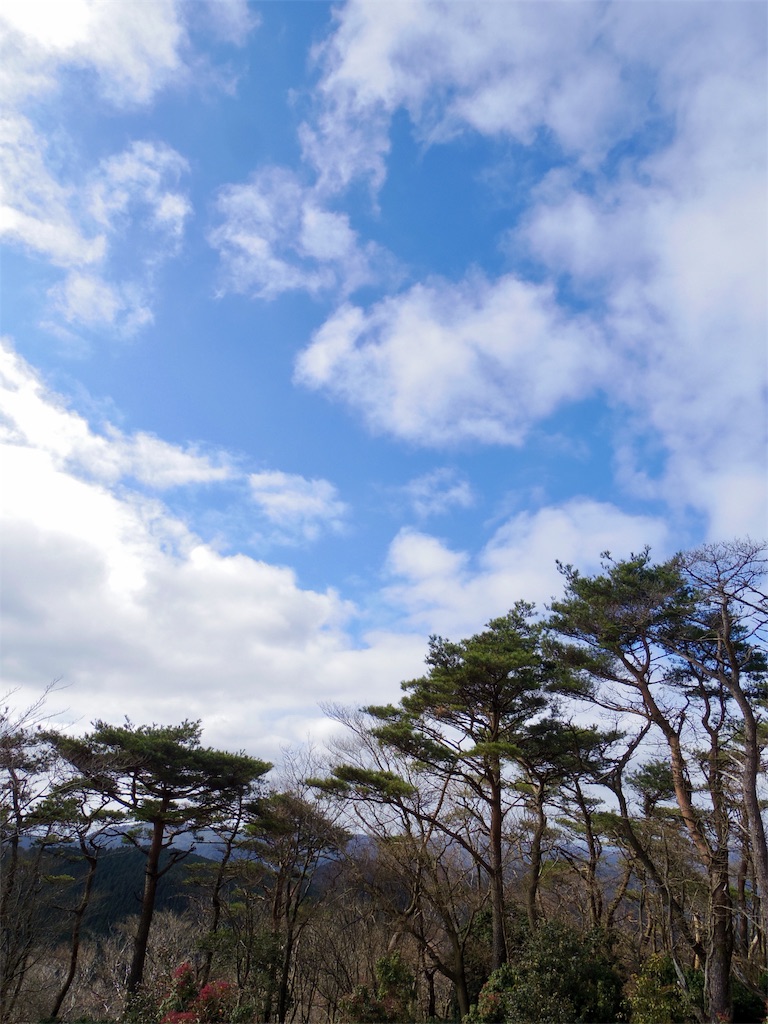 f:id:SANNY7:20191216100415j:image