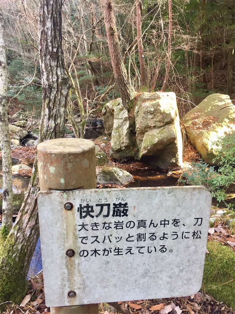 f:id:SANNY7:20191216102323j:image