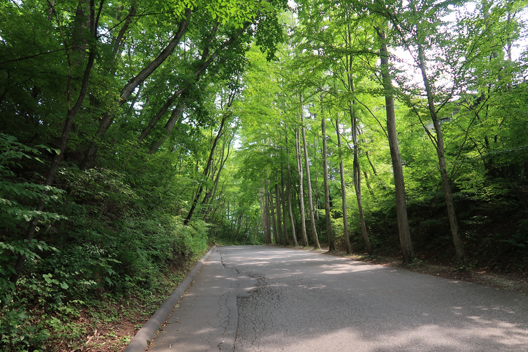 f:id:SANPU:20200815142957p:plain