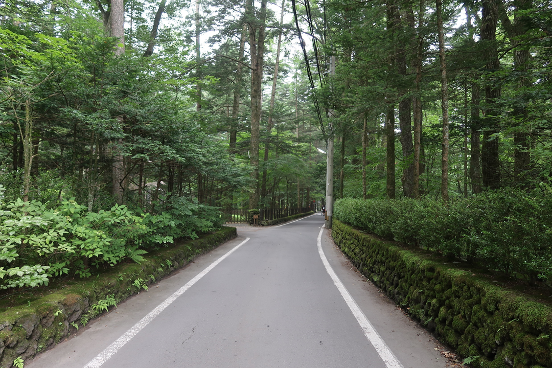 f:id:SANPU:20200815155039p:plain