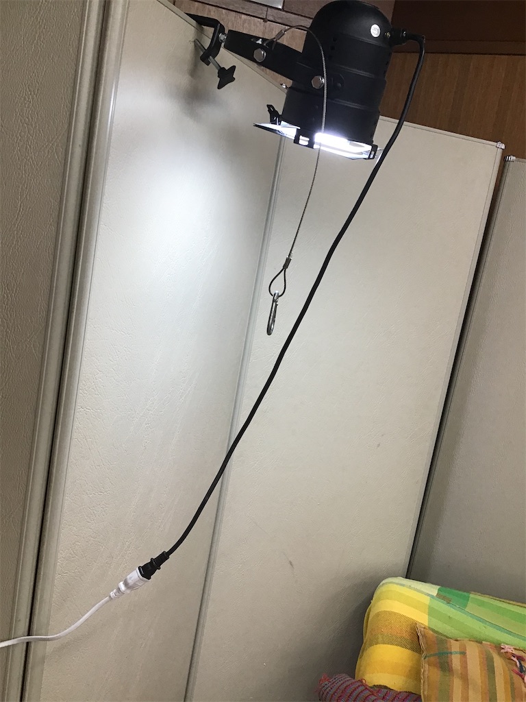 f:id:SAORITOYOSAKI:20210323201840j:image f:id:SAORITOYOSAKI:20210323201840j:image