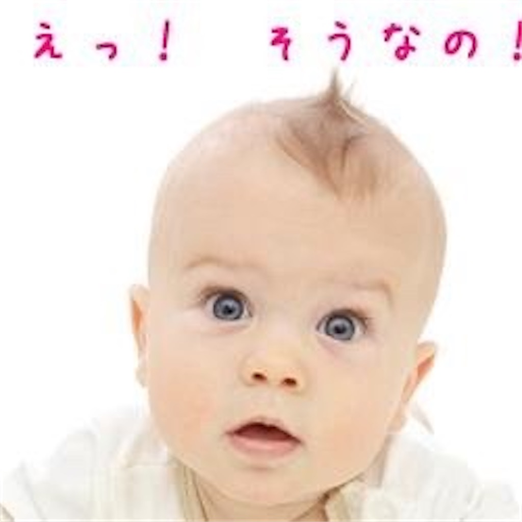 f:id:SAPIRIKU:20201022125424j:image