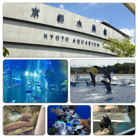 f:id:SARUKO:20130912080708j:image:h320 f:id:SARUKO:20130912080708j:image:h320