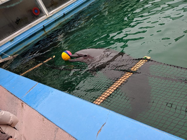 f:id:SASUGA:20191222181536j:image f:id:SASUGA:20191222181536j:image