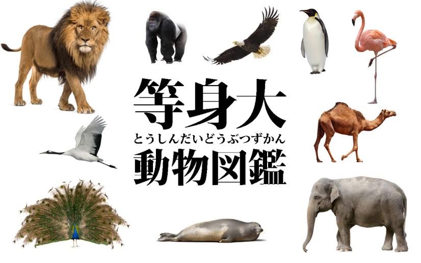 本『神使像図鑑　神使になった動物たち』 本『神使像図鑑 神使になった動物たち』の通販 by 東京アリス's