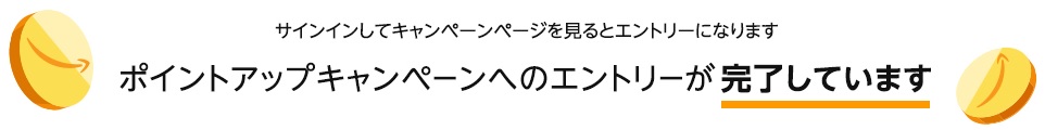 f:id:SATA_0326:20181230094050j:plain