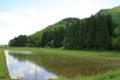 [自然][風景][自然風景][長野県]田園