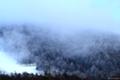 [長野][自然][鳥]白樺湖の山