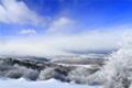 [樹氷][冬][雪][木][眺望][自然][風景]眺望