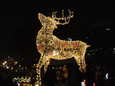 f:id:SAWA:20101223052554j:image