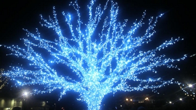 f:id:SAWA:20101227180314j:image