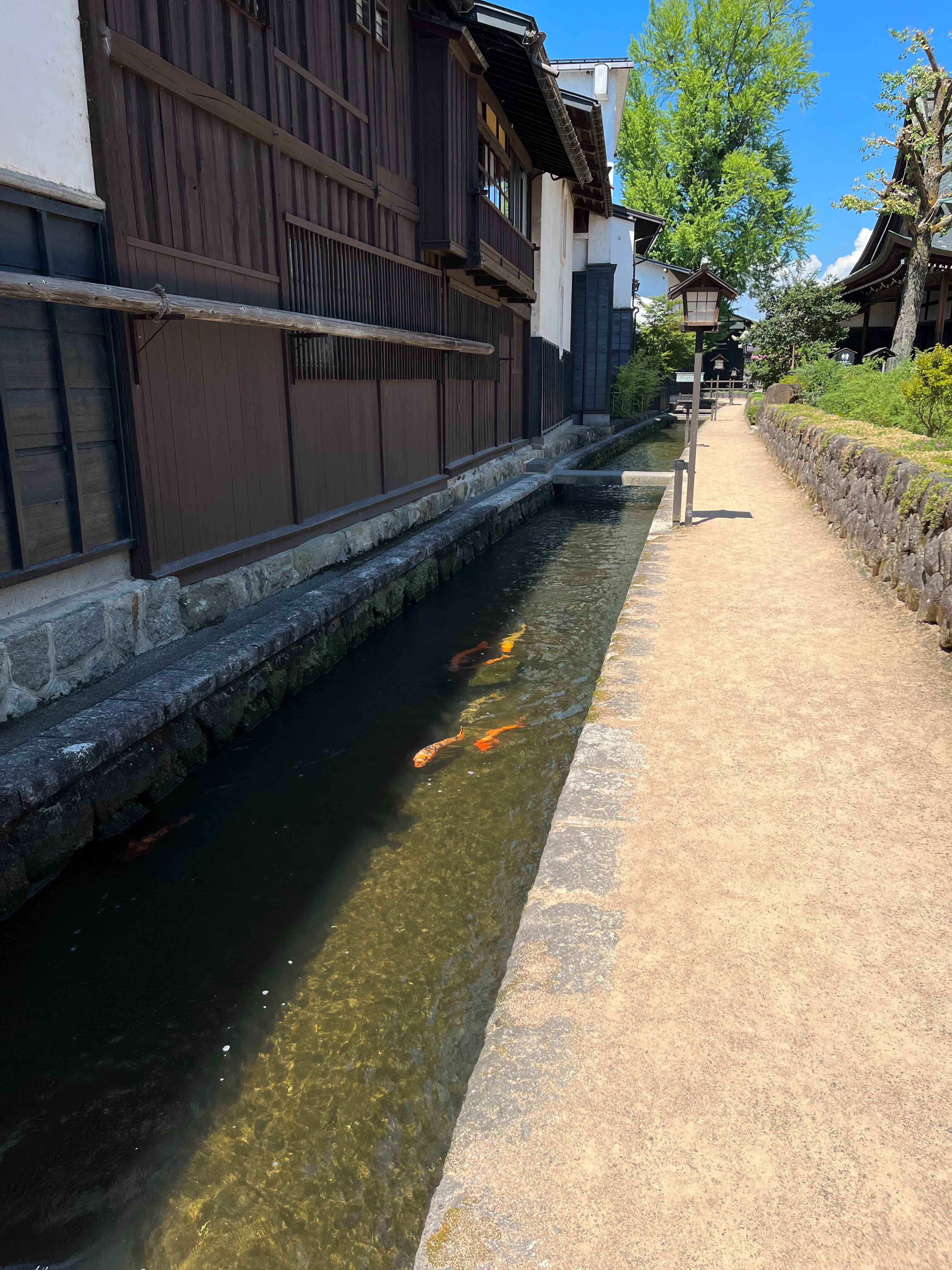 f:id:SAWkun:20230928051427j:image
